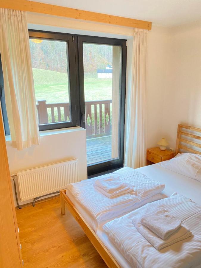 Apartments Steinwaend Gruenau im Almtal Exterior photo
